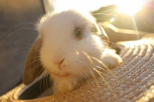 我守你百岁无忧